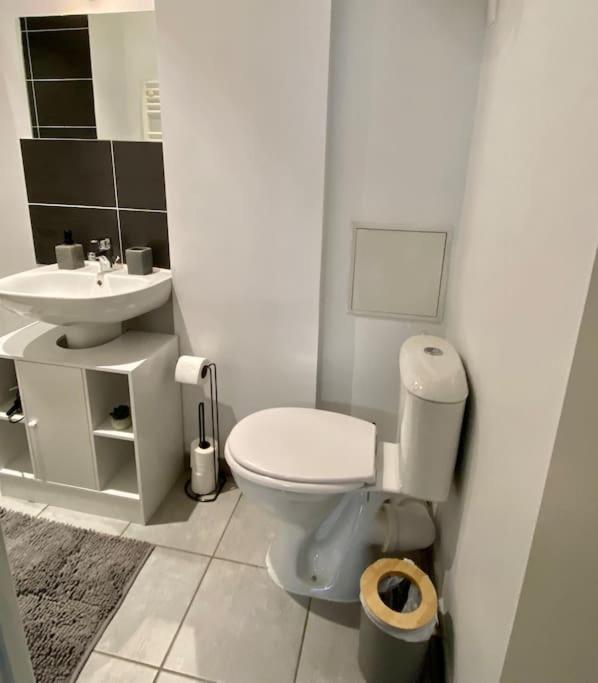 Vaste Appartement Renove - Centre Ville Bourg-en-Bresse Exteriér fotografie